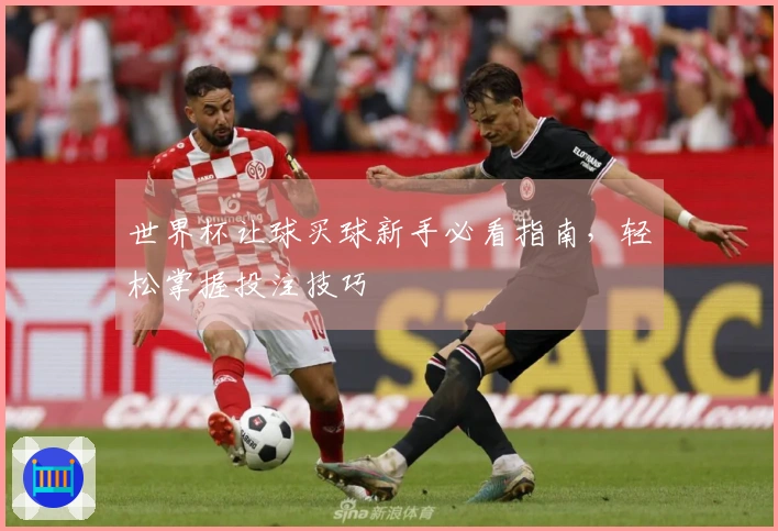 世界杯让球买球新手必看指南，轻松掌握投注技巧