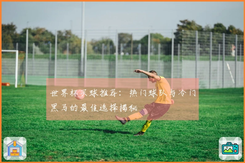 世界杯买球推荐:热门球队与冷门黑马的最佳选择揭秘