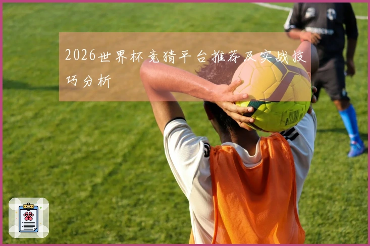 2026世界杯竞猜平台推荐及实战技巧分析
