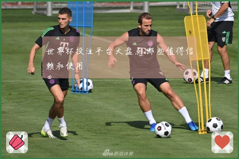 世界杯投注平台大盘点 哪些值得信赖和使用