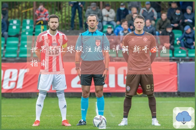 世界杯让球投注玩法详解 新手必看指南