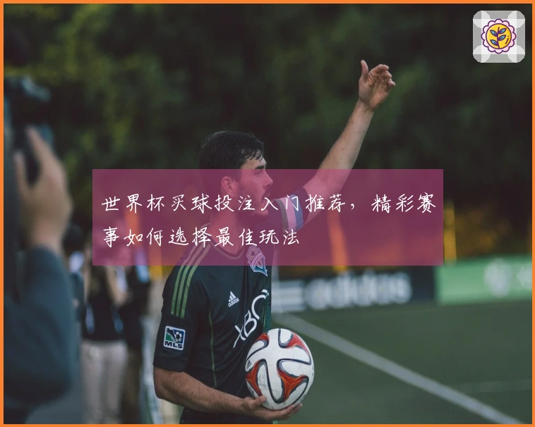 世界杯买球投注入门推荐，精彩赛事如何选择最佳玩法