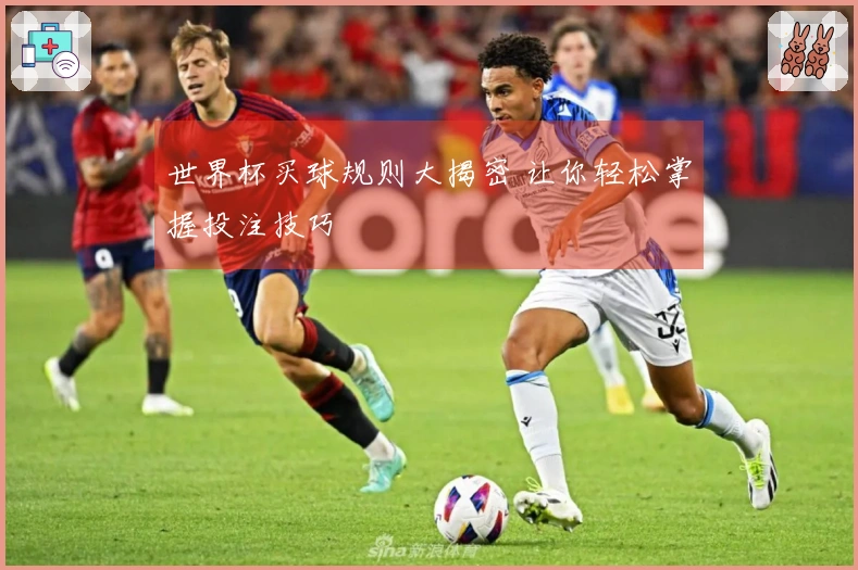 世界杯买球规则大揭密 让你轻松掌握投注技巧