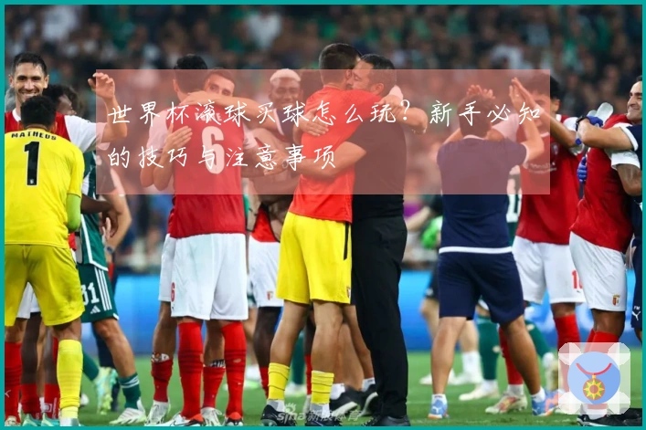 世界杯滚球买球怎么玩？新手必知的技巧与注意事项