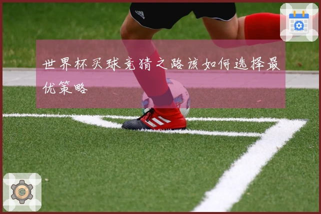 世界杯买球竞猜之路该如何选择最优策略