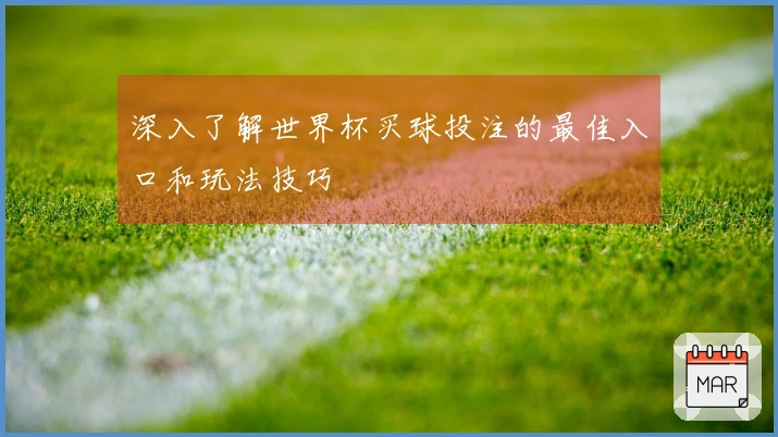 深入了解世界杯买球投注的最佳入口和玩法技巧