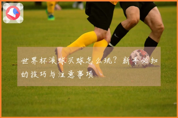 世界杯滚球买球怎么玩？新手必知的技巧与注意事项