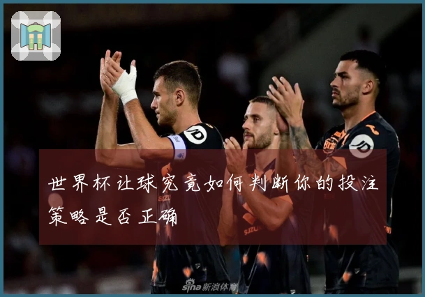 世界杯让球究竟如何判断你的投注策略是否正确