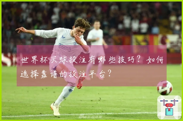 世界杯买球投注有哪些技巧？如何选择靠谱的投注平台？