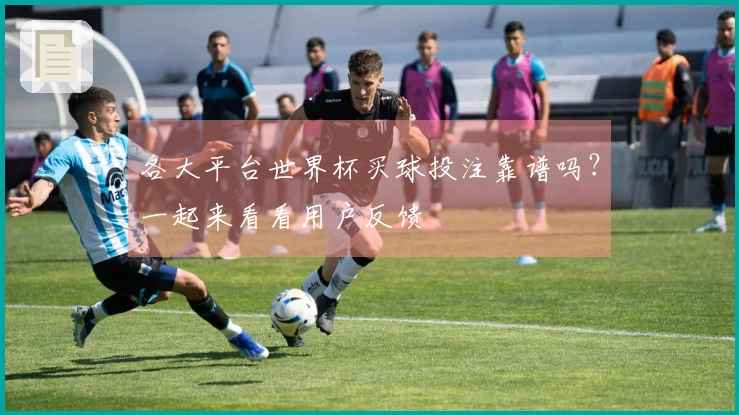 各大平台世界杯买球投注靠谱吗？一起来看看用户反馈