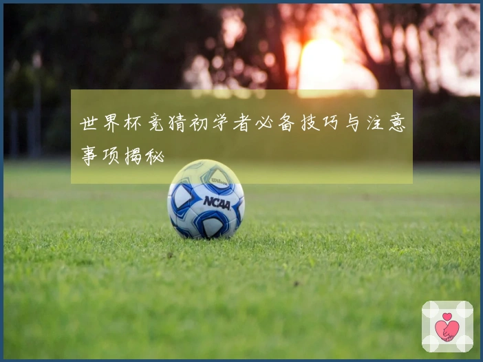 世界杯竞猜初学者必备技巧与注意事项揭秘