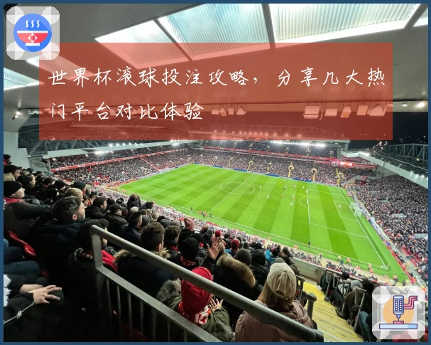 世界杯滚球投注攻略，分享几大热门平台对比体验