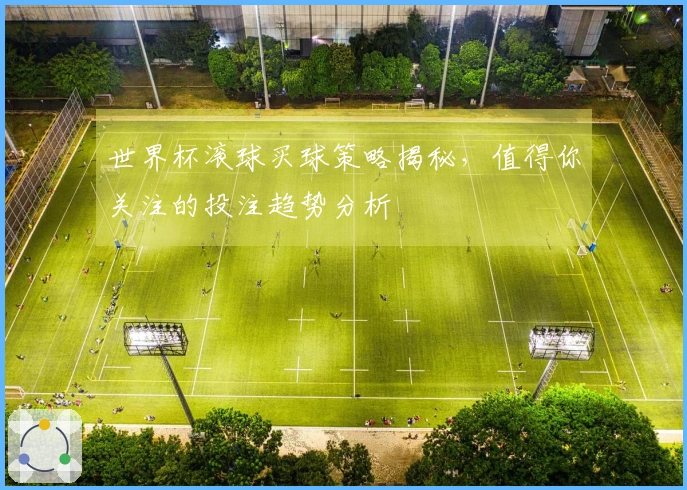 世界杯滚球买球策略揭秘，值得你关注的投注趋势分析
