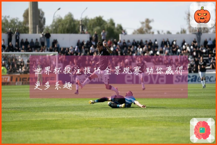 世界杯投注技巧全景观察 助你赢得更多乐趣